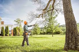 Reliable Robersonville, NC Tree Removal and Landscaping Services Solutions